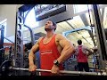 Basic & Big: Week 11 Day 75: Shoulders ELT