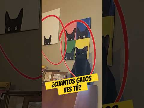 ¿Cuántos Gatos 🐱 Hay Realmente? 👀 | Enigmatik