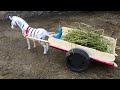 Mini Horse Cart How To Make Horse Cart DIY Wood Working Making Horse Cart From Wooden Sticks