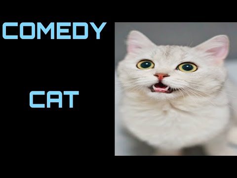 new member at let's get started ll dhruv devesh ll