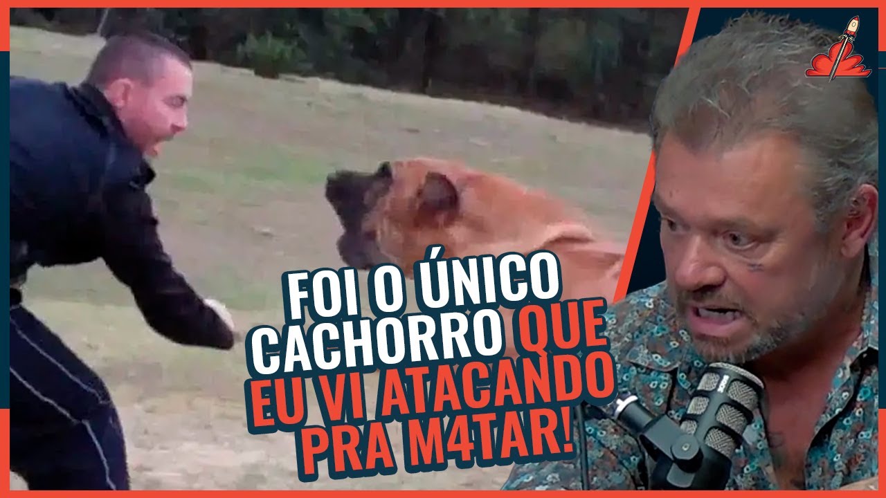 A RAÇA BRASILEIRA de CACHORRO mais PERIGOSA