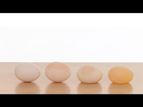 Naked Egg - Sick Science! #031
