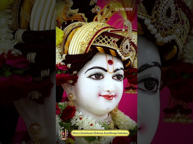 ઘનશ્યામ મહારાજ
