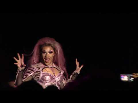Season 11 Tour - Ariel Versace (Venomous/Coin)