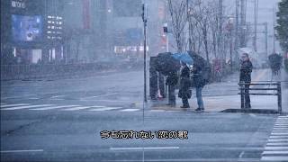 フル 歌詞 白い恋人達 桑田佳祐 Cover By 小川ハル أغاني Mp3 مجانا