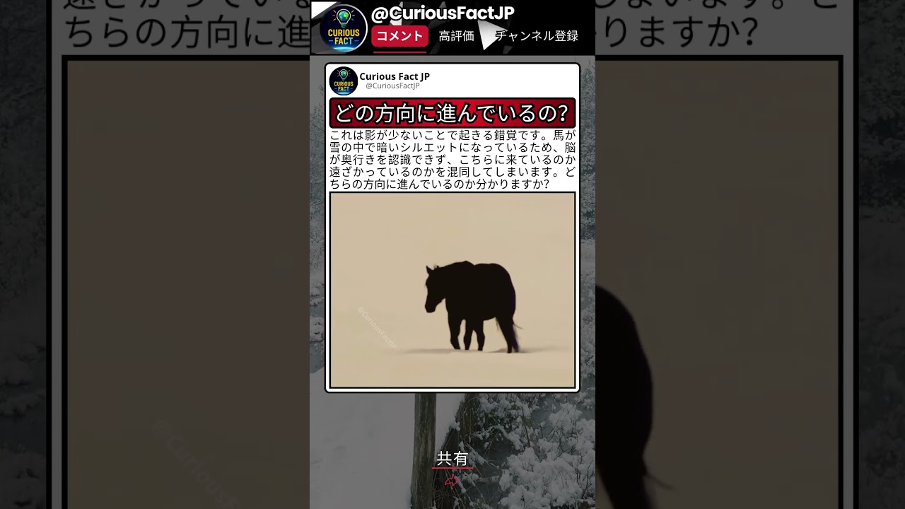 見れば見るほど分からなくなる 🤨