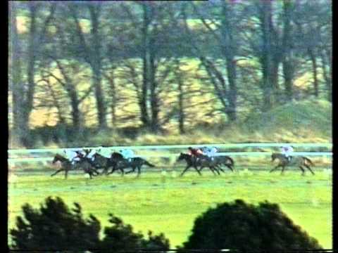 1986 Black & White Whisky Champion Chase