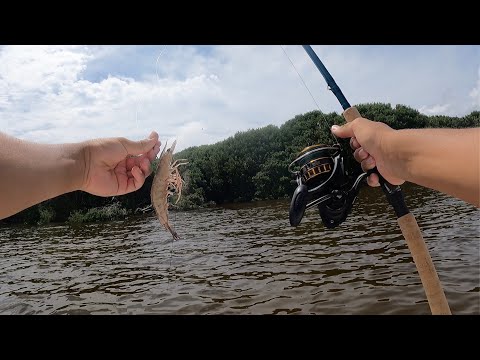 Inshore fishing for redfish: small scrub brush segment