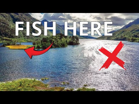 How to Find Trout in Lakes [This Works Everywhere!]