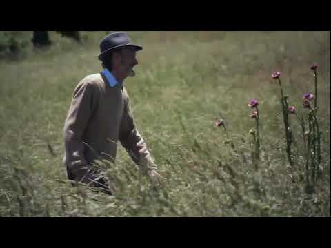 PETER TOTY - Melo De Solitario