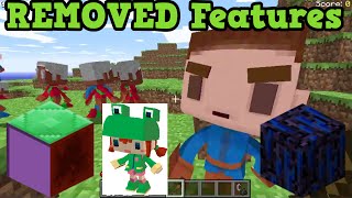 Minecraft Top 5 REMOVED Features of ALL TIME