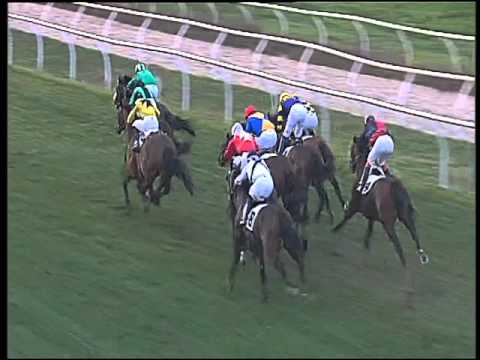 Galoppo 31/01/2016 - 2° corsa