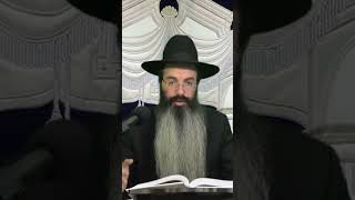 ספר תהילים בשבת מברכים הרב נתנאל אביסרור (בית הכנסת מוסאיוף) - התמונה מוצגת ישירות מתוך אתר האינטרנט יוטיוב. זכויות היוצרים בתמונה שייכות ליוצרה. קישור קרדיט למקור התוכן נמצא בתוך דף הסרטון