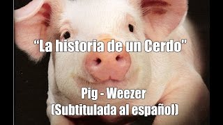 Weezer - Pig &quot;La historia de un Cerdo&quot; (Subtitulado al Español)