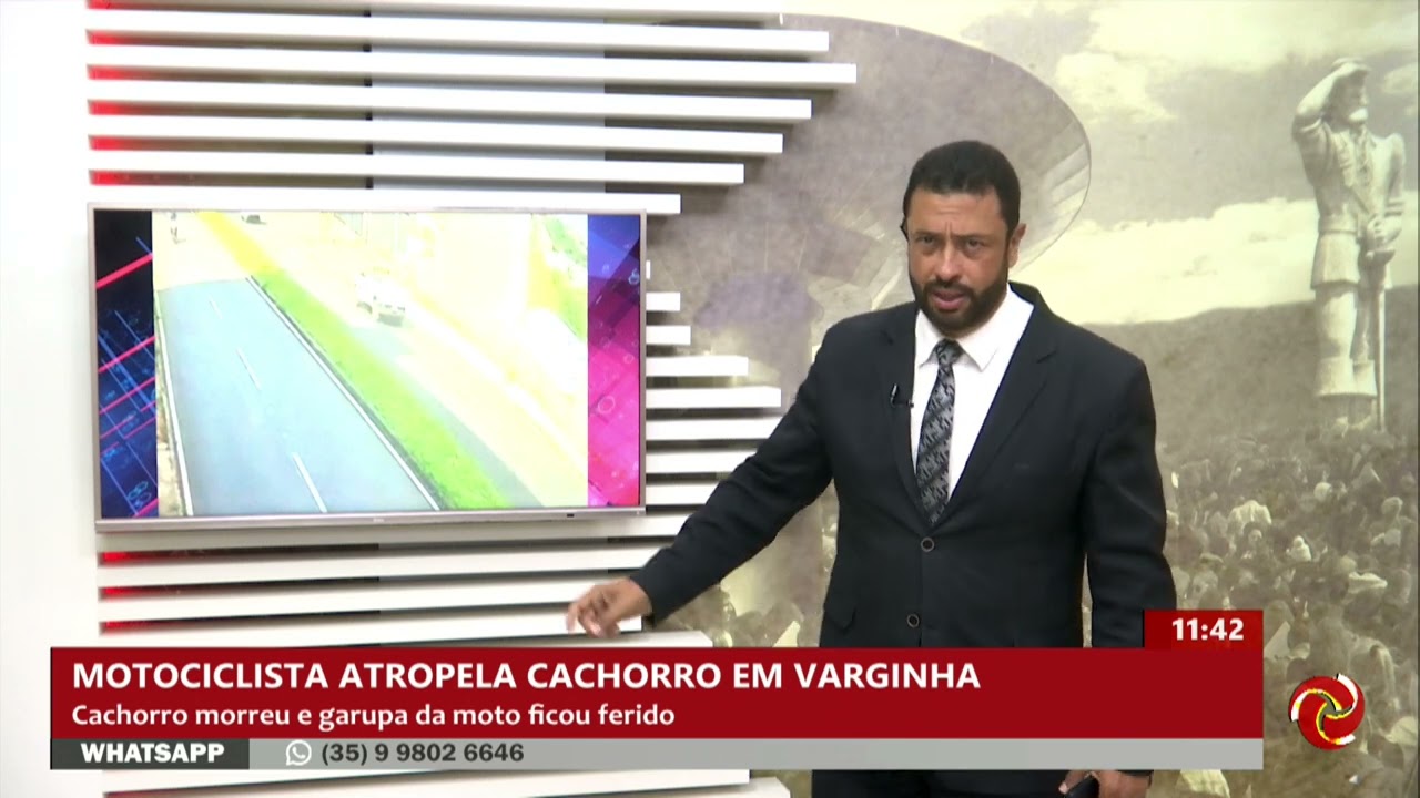 Motociclista atropela cachorro em Varginha