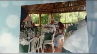 Waco Blue Nosed Pitbull For Sale in the waco area.