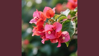 Download lagu Hari Seperti Sungai mp3