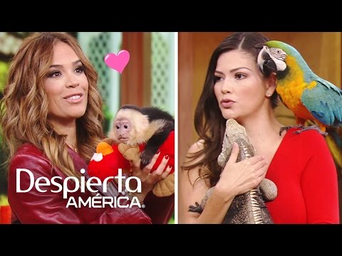 Karla y Ana Patricia se enamoraron de estos animalitos de la selva