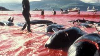 Yo quisiera ser civilizado como los animales