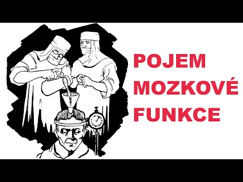 Pojem mozkové funkce