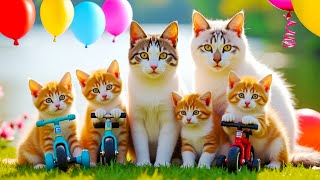 Download lagu ANAK KUCING MEONG MEONG | Lagu Anak Anak | Lagu Anak Indonesia Populer Si Meong Kucing Lucu mp3 Download lagu ANAK KUCING MEONG MEONG | Lagu Anak Anak | Lagu Anak Indonesia Populer Si Meong Kucing Lucu mp3
