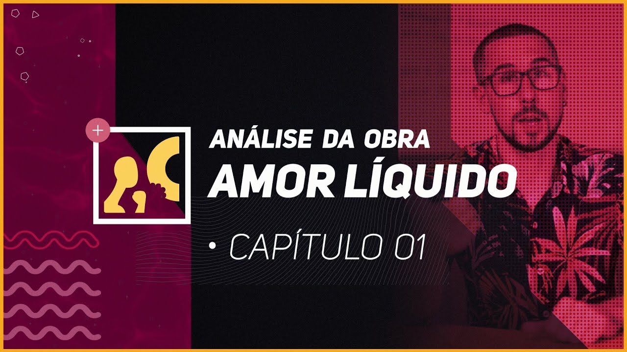 ANÁLISE DA OBRA - Amor líquido - Capítulo 1