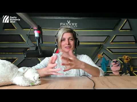 Ana Craciun Lambru: "Show-urile mele sunt pentru toata familia!" - Radio 3Net Podcast 💬