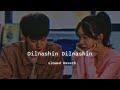 Dilnashin Dilnashin SLOWED REVERB KK Lover S Choice Lofi