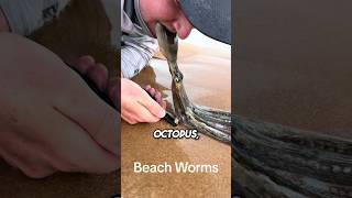 These Beach Worms Bite Your Feet 😱