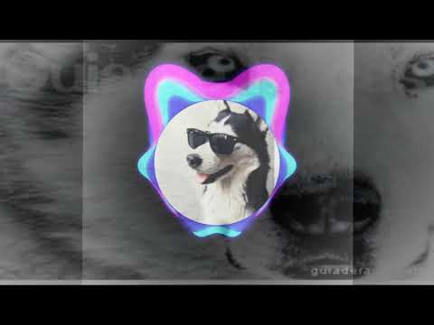 Mc Bulls e Sr.Nescau (Sol escaldante)