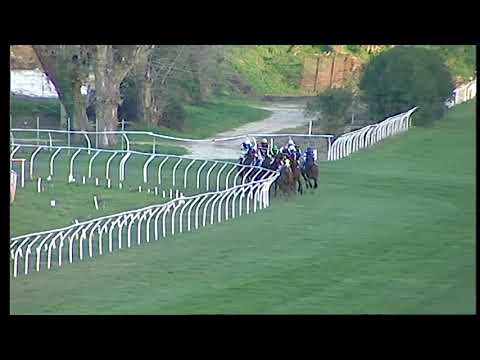 Galoppo 21/12/2020 - 6ª corsa