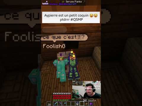 QSMP : Aypierre emmène quelqu'un dans son lit pour..? 😂😂🤣 #QSMP #aypierre #twitch #mc #minecraft