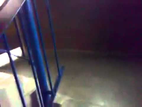 KANKER BUREN PORTIEK RONNIE MONGOOL