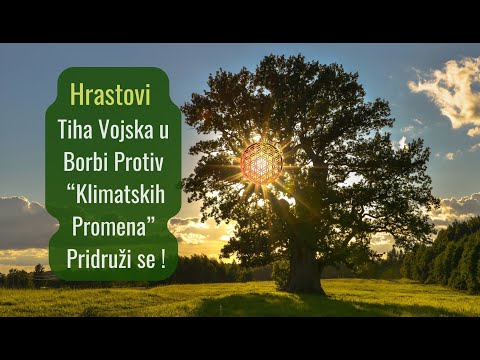 🌳 Hrastovi - Tiha Vojska Protiv Klimatskih Promena Pridruži se!! 🌳
