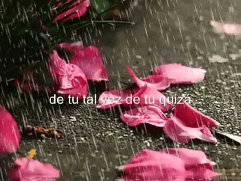 Como Te Diré video