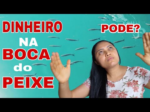 THERE WAS MONEY INSIDE THE FISH Don't Doubt It!