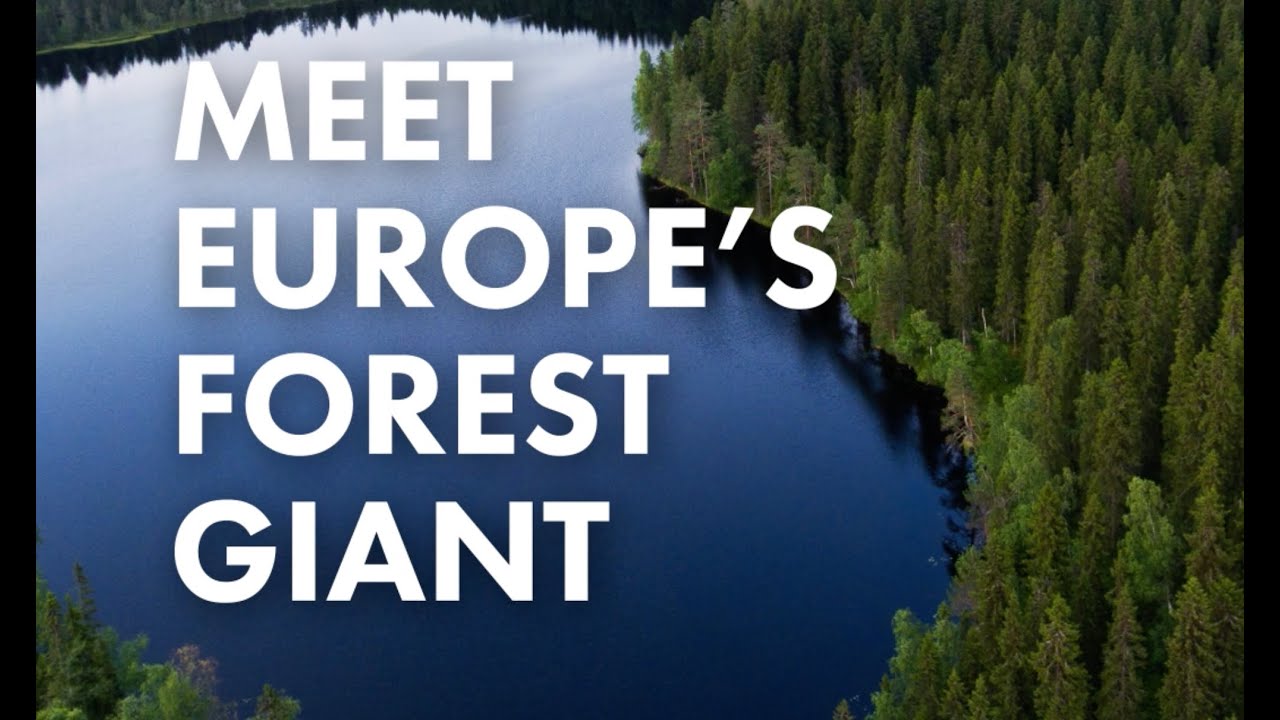 UPM - Sustainable Forest Management