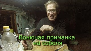 Какая лучшая приманка на соболей