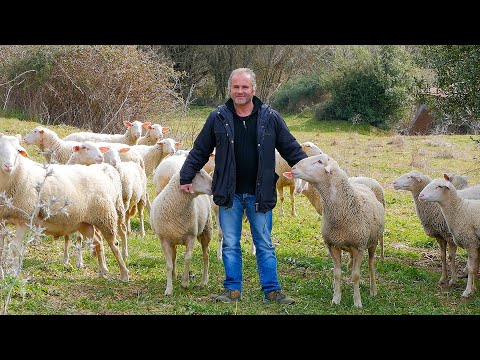 , title : 'Από τα φώτα της Αθήνας στα βουνά της Ευρυτανίας για να γίνει κτηνοτρόφος | Greek Village Life'