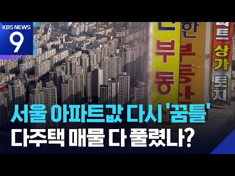 서울 아파트값 다시 반등…다주택자 매물 효과 끝났나? [9시 뉴…
