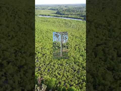 Fazenda em Igrapiúna, Bahia