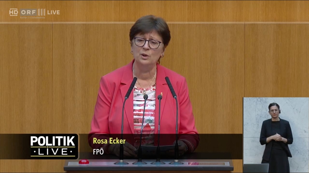Rosa Ecker - Missbräuchliche Verwendung von Deepfakes - 10.6.2026