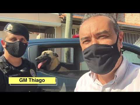 Guarda Municipal de Cabreúva