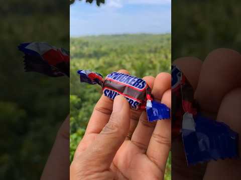 Mini Snickers | Malayalam |#shortsfeed #shorts #trending #youtubeshorts #viral