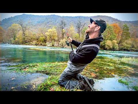 Hier leben die 1,35m Monster Donau Lachse!