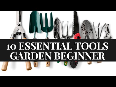 10 Essential Gardening Tools for Beginners [Gardening for beginners]