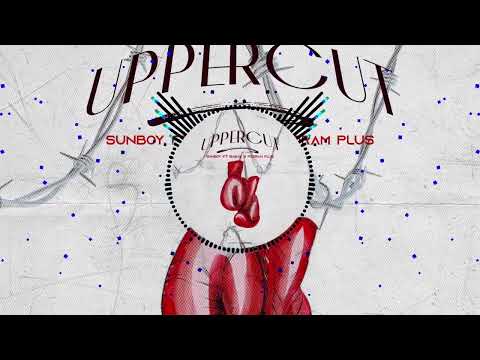 Sunboy Ft. Babak & Pedram Plus - Uppercut