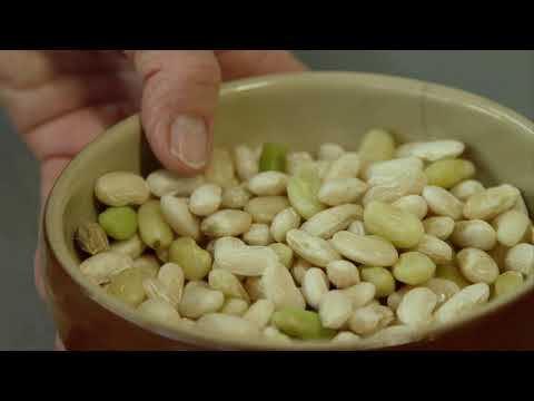 Biais N°16 :  Garbure (Piget Films et France Télévisions)