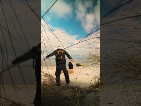 A Small Escape
