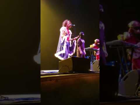 Ninja Sex Party No Pants Dance live at The Wiltern Front Row